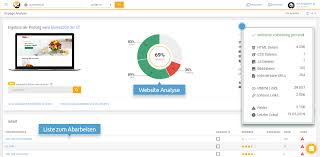 kostenloser seo check