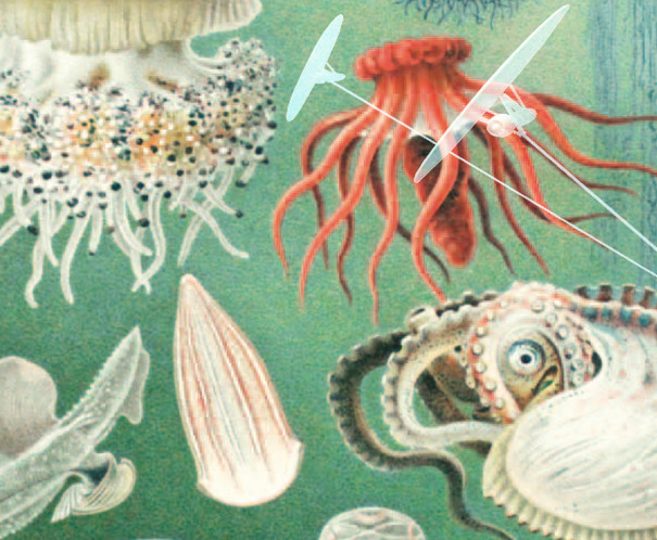 außeruniversitäre forschungseinrichtungen