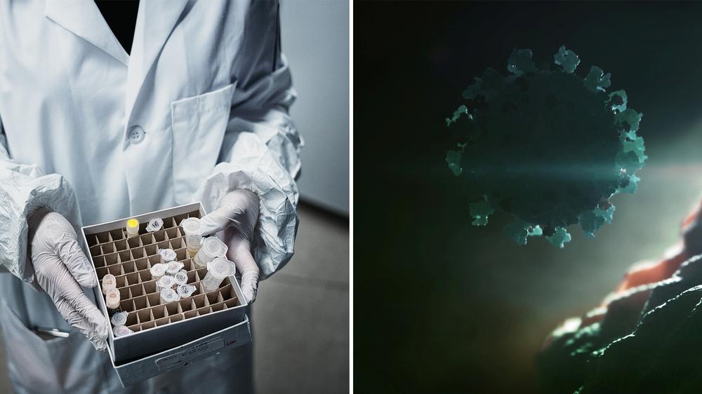 neue wissenschaftliche erkenntnisse