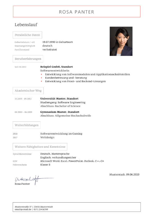 softwareentwickler englisch