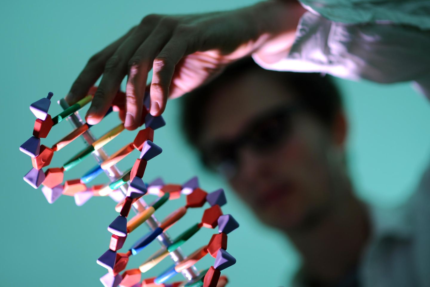 dna forschung