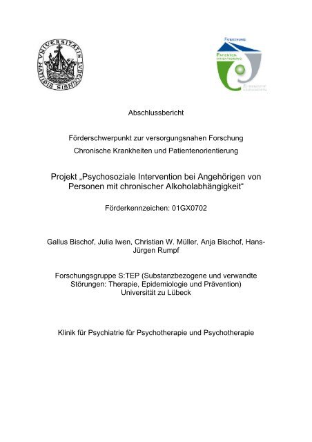 bmbf schlussbericht